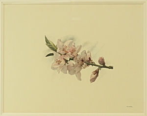 野田弘志　広島県福山市縁の画家